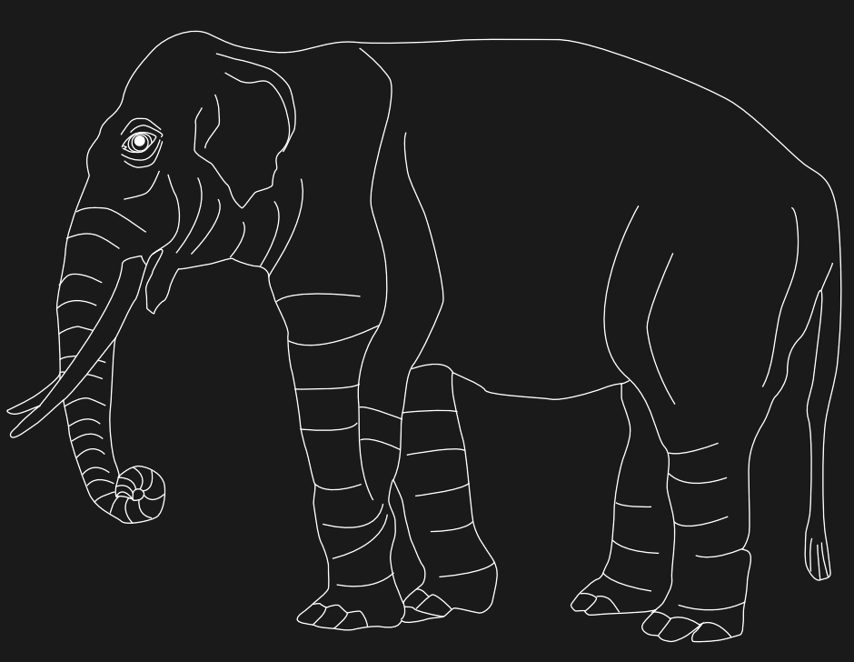An elephant
